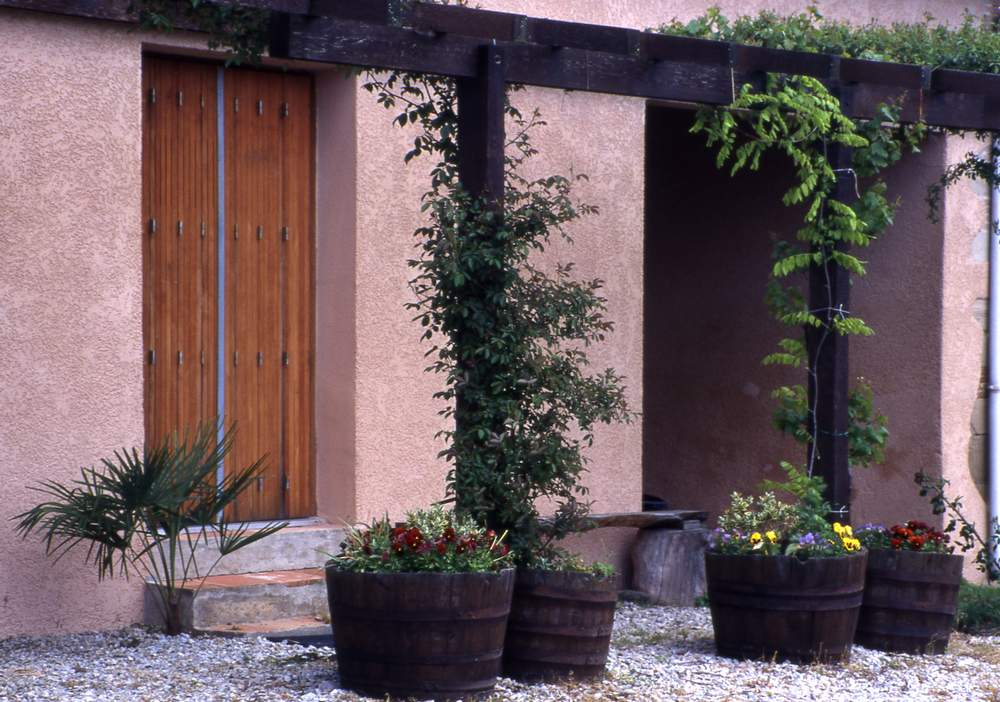 camoufler regards de fosse septique - Au jardin, forum de jardinage